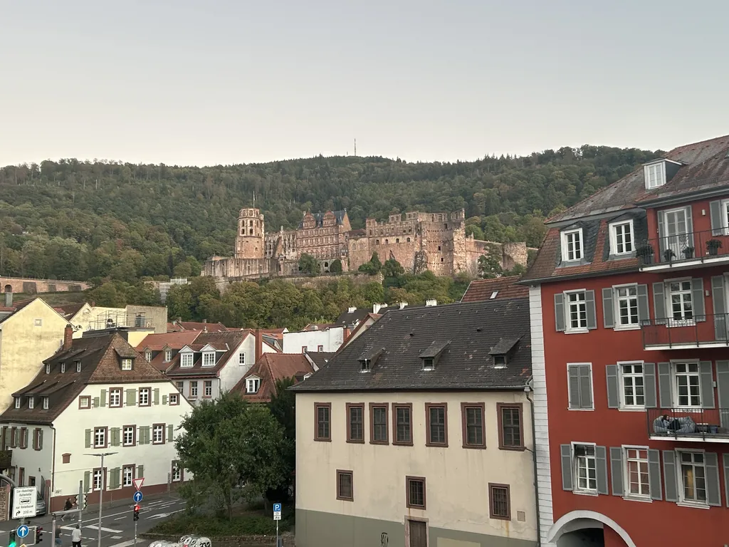 The castle above the old town roofs. Heidelberg.