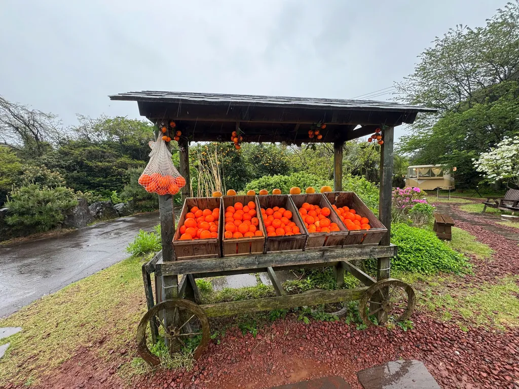 A roadside cart of tangerines.