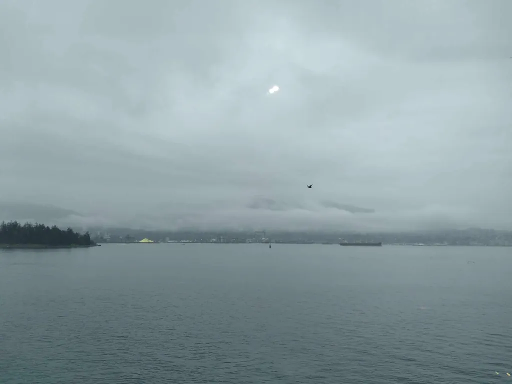 The harbour under low cloud.